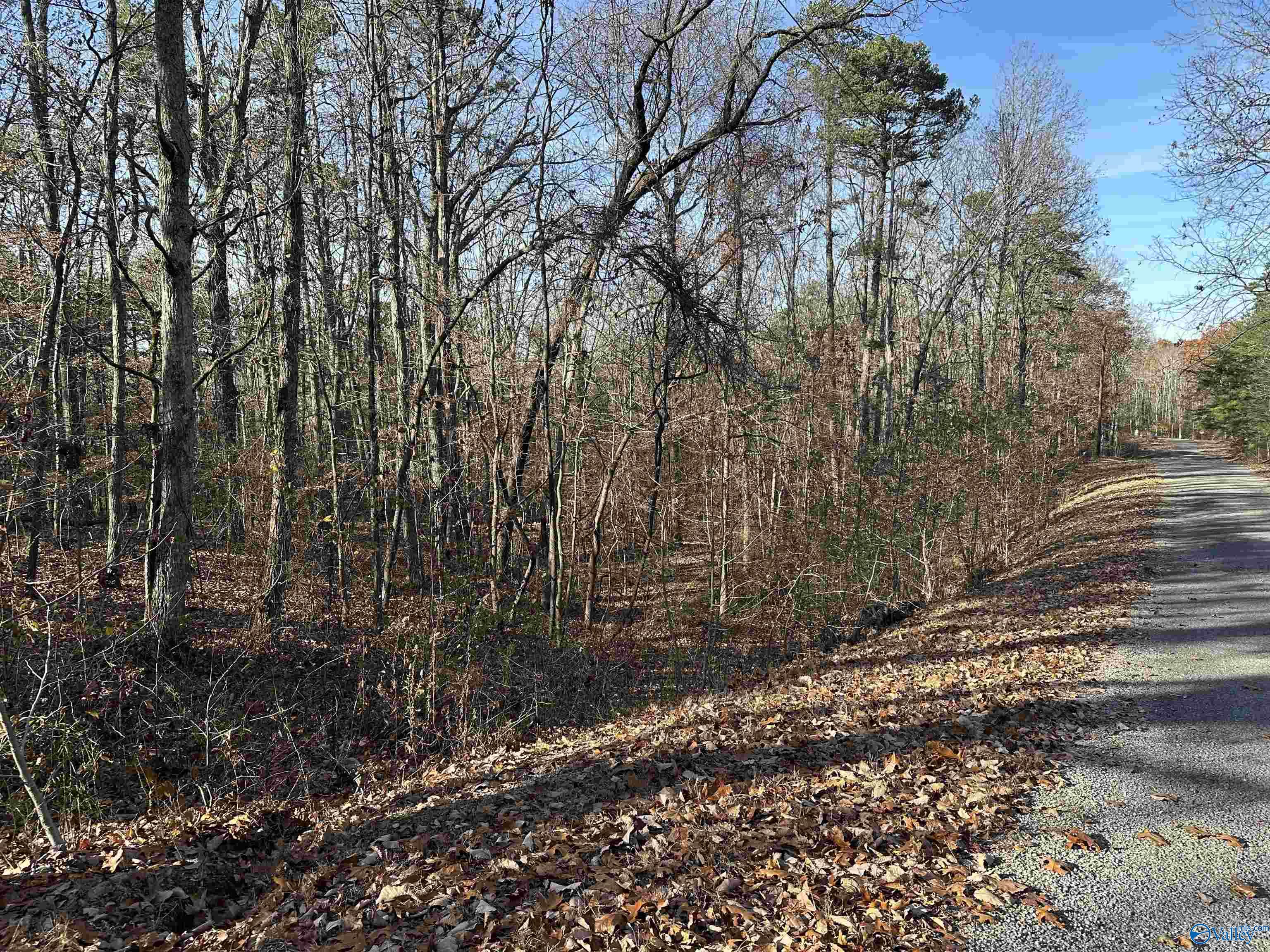 Lot 33 Woodfern Drive, Scottsboro, Alabama image 3