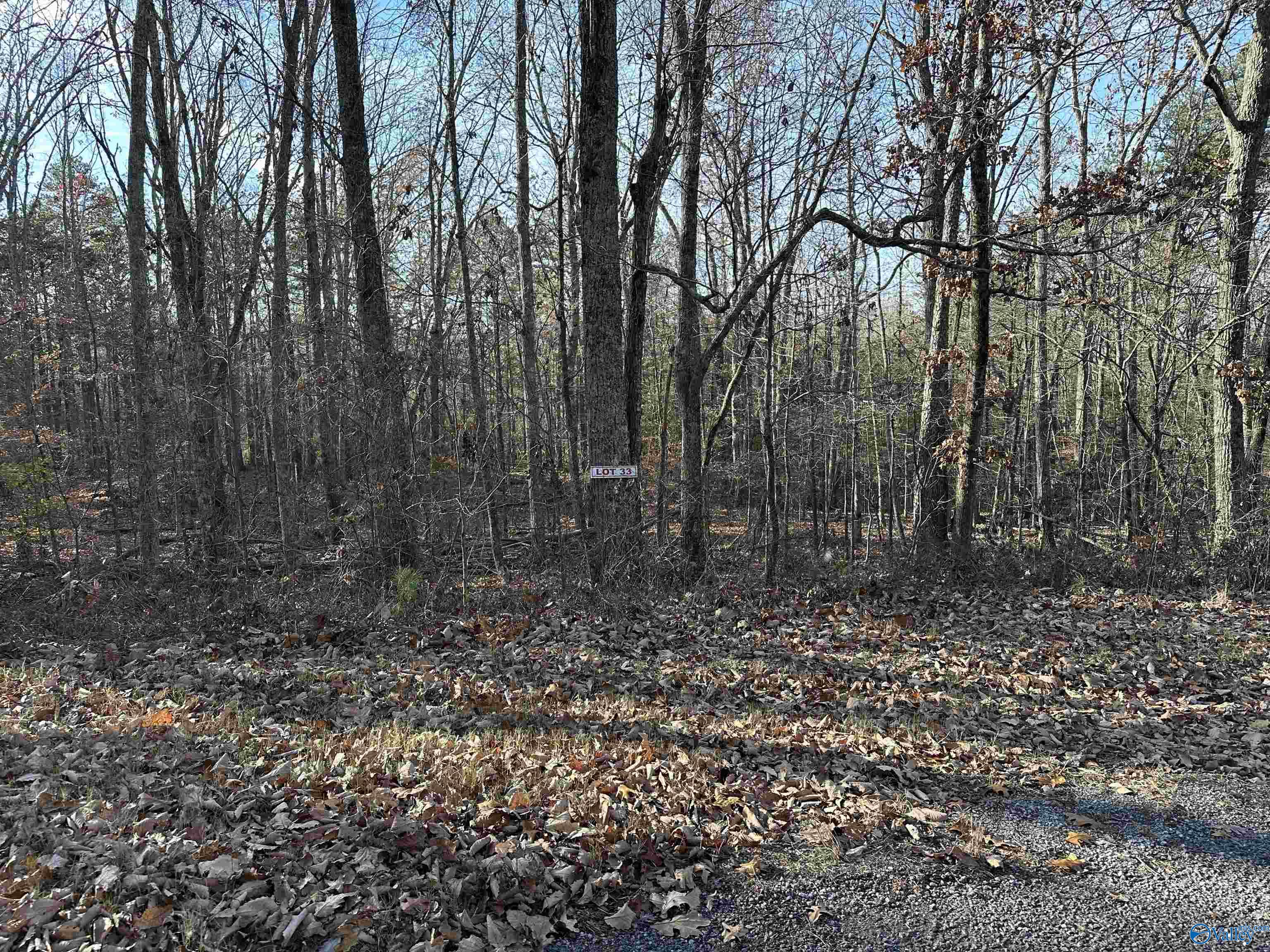 Lot 33 Woodfern Drive, Scottsboro, Alabama image 1