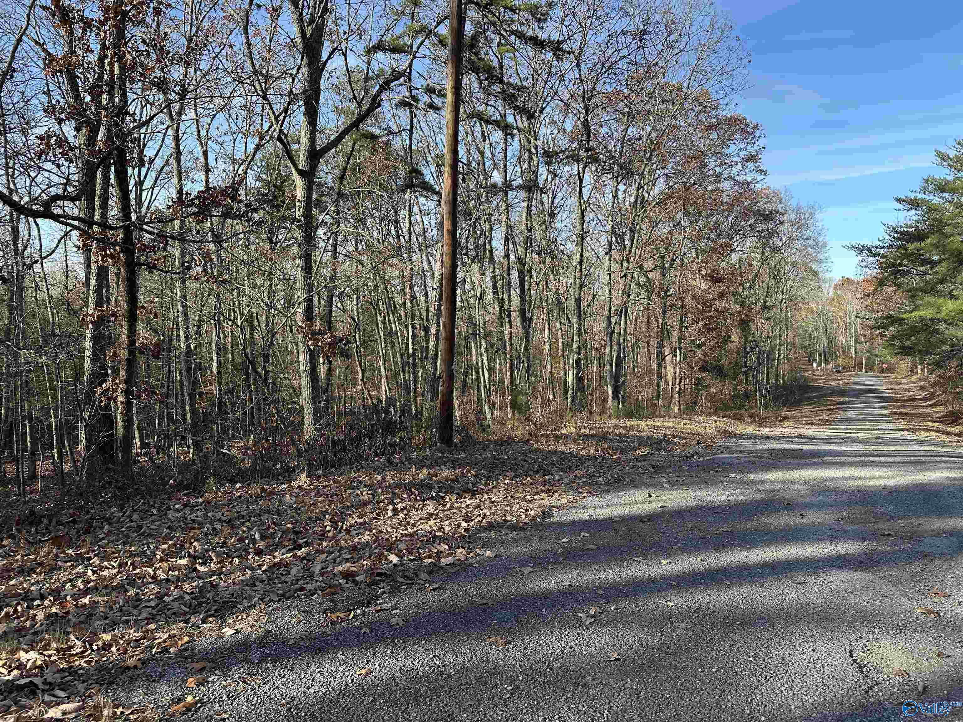 Lot 33 Woodfern Drive, Scottsboro, Alabama image 2