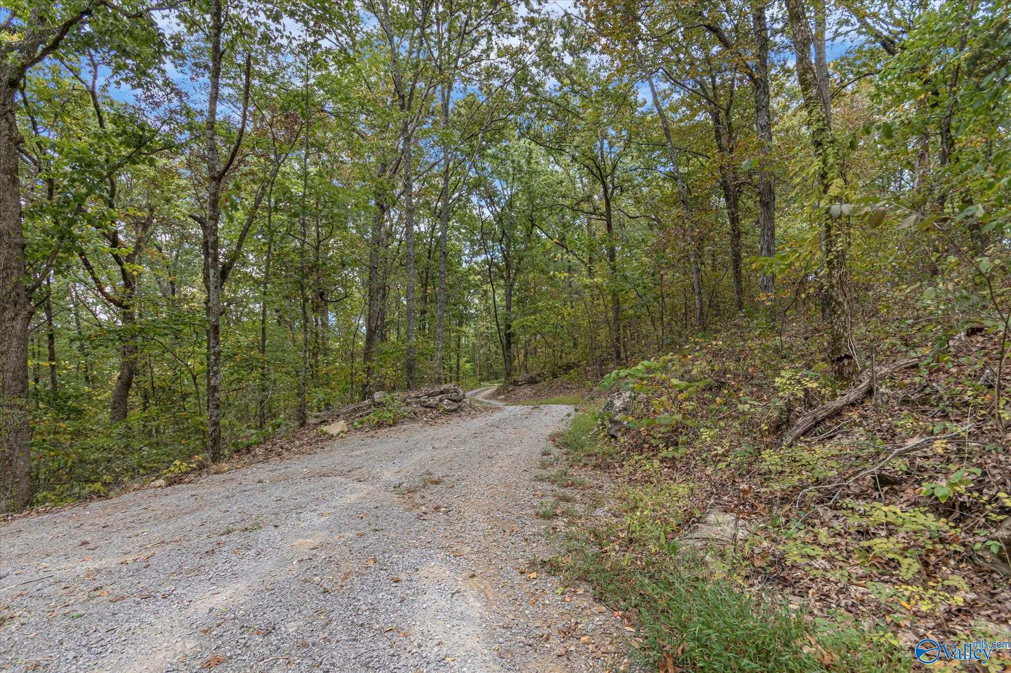 206 Red Bud Lane, Decatur, Alabama image 30