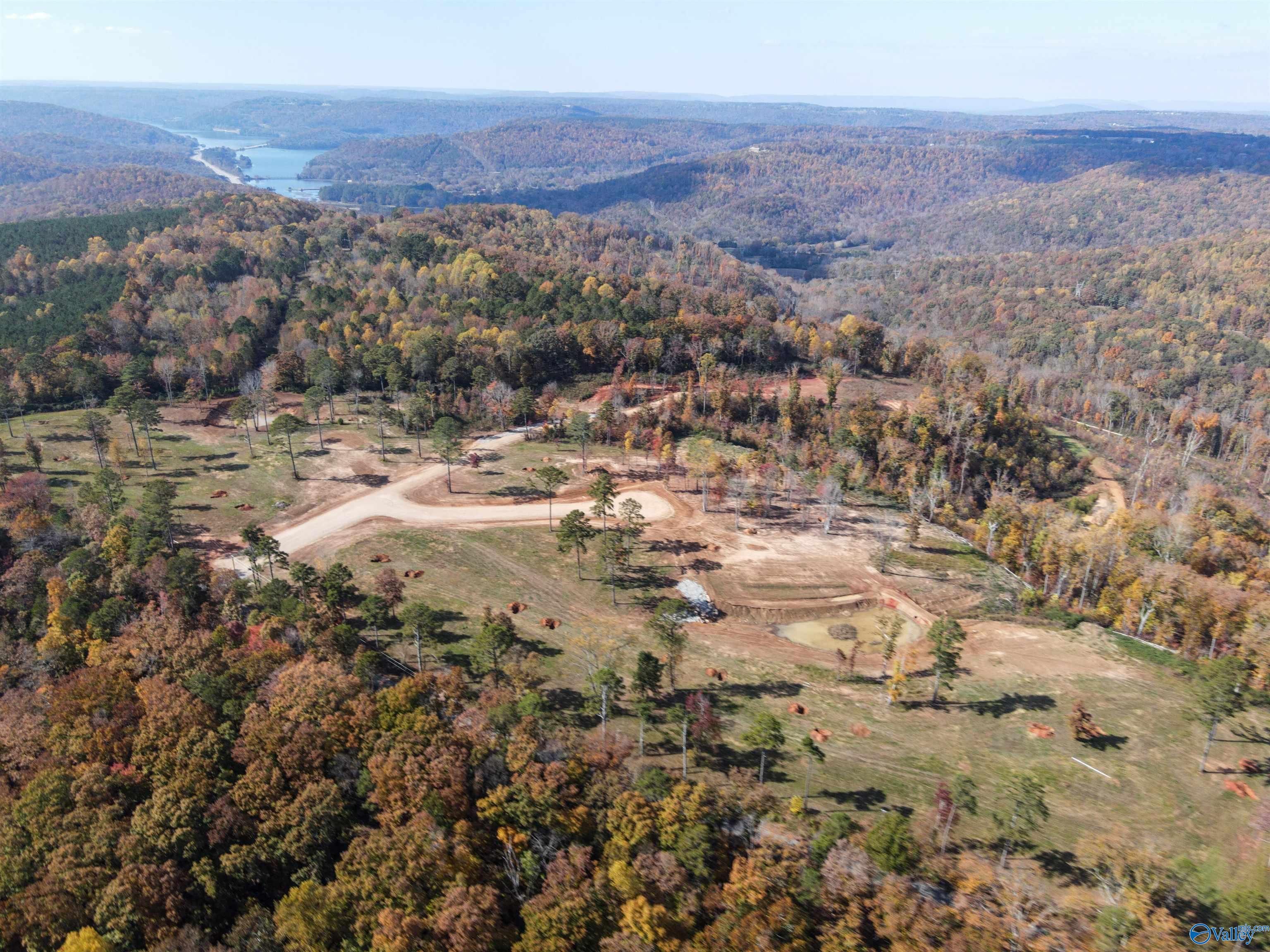 Lot 3 Mccorkle Mountain Road, Scottsboro, Alabama image 6