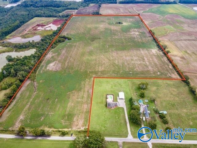 72 Acres Hatton School Road, Leighton, Alabama image 1