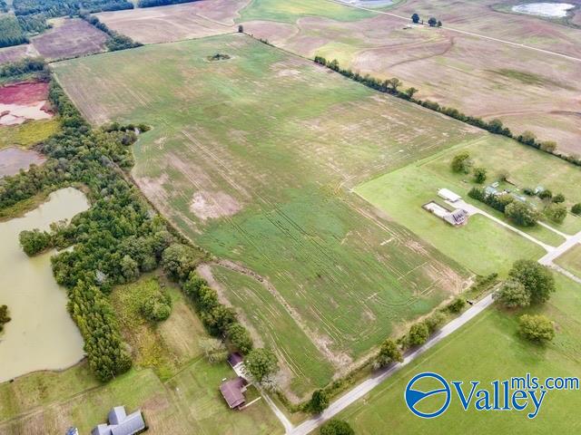 72 Acres Hatton School Road, Leighton, Alabama image 3