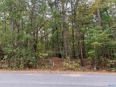 0.69 Beech Hollow Lane Southside AL 35907