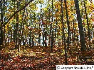 Photo 1 of 5 — 7 Blowing Cave Road, Gurley, AL 35748