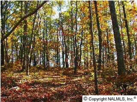 Vacant Land For Sale - 7 Blowing Cave Road<br/> Gurley, AL 35748