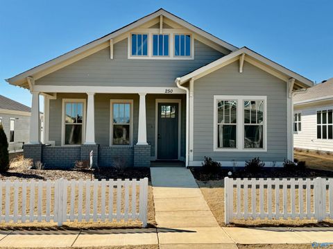 Homes For Sale - 250 Haystack Drive<br/> Madison, AL 35757