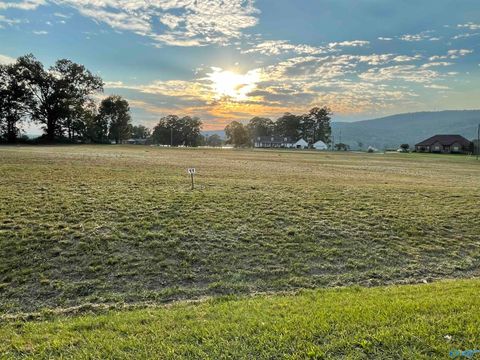 Vacant Land For Sale - 1092 Lake Forest Drive<br/> Etowah County, Southside, AL 35907