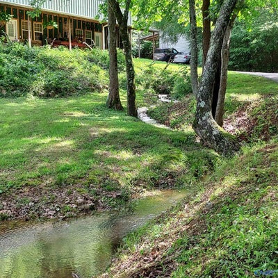 10831 COUNTY ROAD 29, CENTRE, AL 35960 - Image 2b84381499bb0effb7bd841dcd617675/3925424101