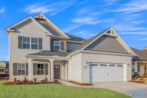 Homes For Sale - 13 Ginsberg Road<br/> Madison, AL 35756