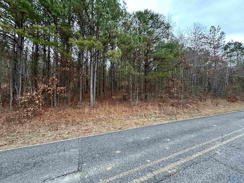 Vacant Land For Sale - 2.85 +/- ACRES County Road 686<br/> Cherokee County, Cedar Bluff, AL 35959