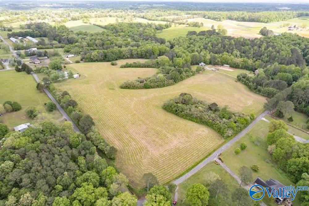 21 Acres County Road 1474, Cullman, Alabama image 10