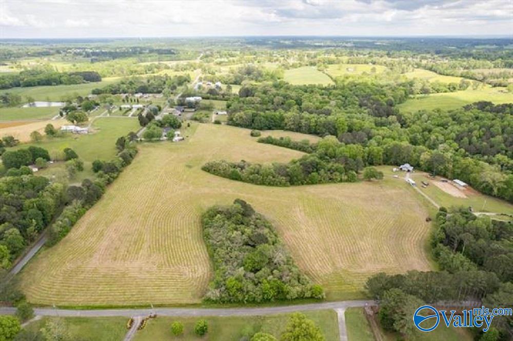 21 Acres County Road 1474, Cullman, Alabama image 8