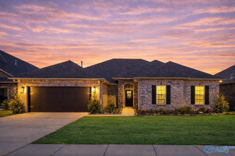 Homes For Sale - 103 Tanner Drake Court<br/> New Market, AL 35761