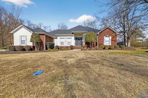 Photo of 202 Dunaway Trace, Rainbow City, AL 35906 (MLS # 21909676)