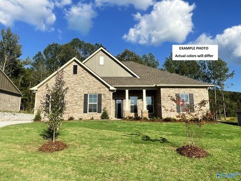 Photo of 102 Lc Sparks Avenue, Meridianville, AL 35759 (MLS # 21919414)