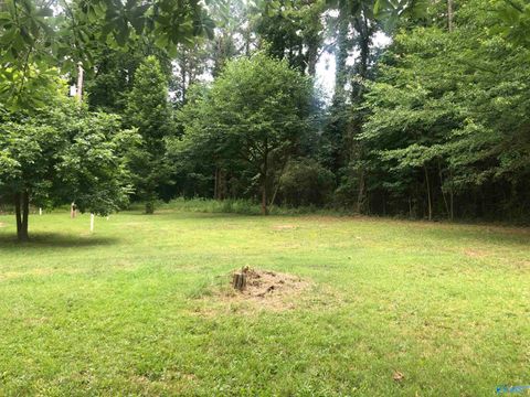 Vacant Land For Sale - LOTS 20 & 21 Moneys Bend Section 5<br/> Cherokee County, Cedar Bluff, AL 35959