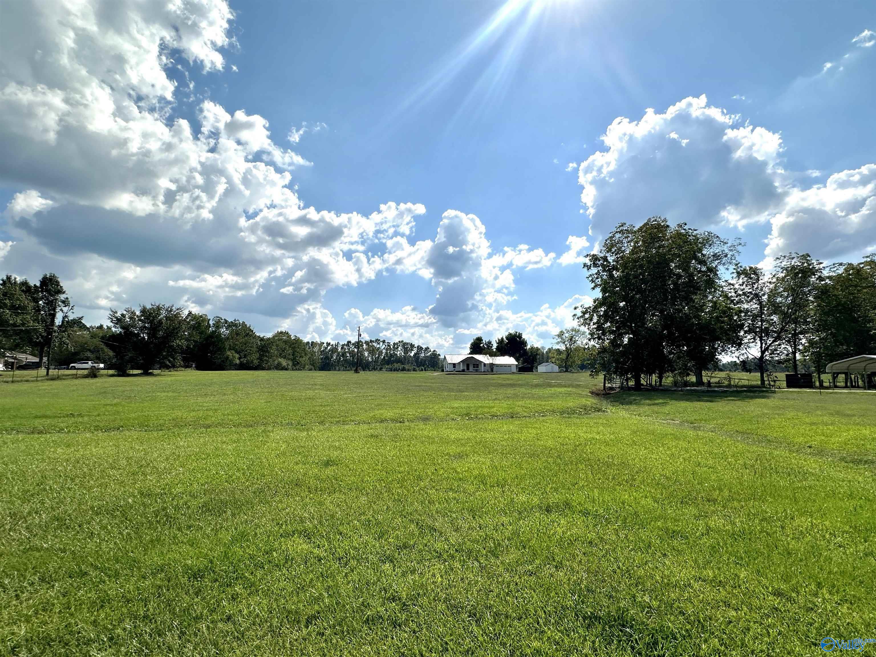 1959 Hood Road, Southside, Alabama image 4