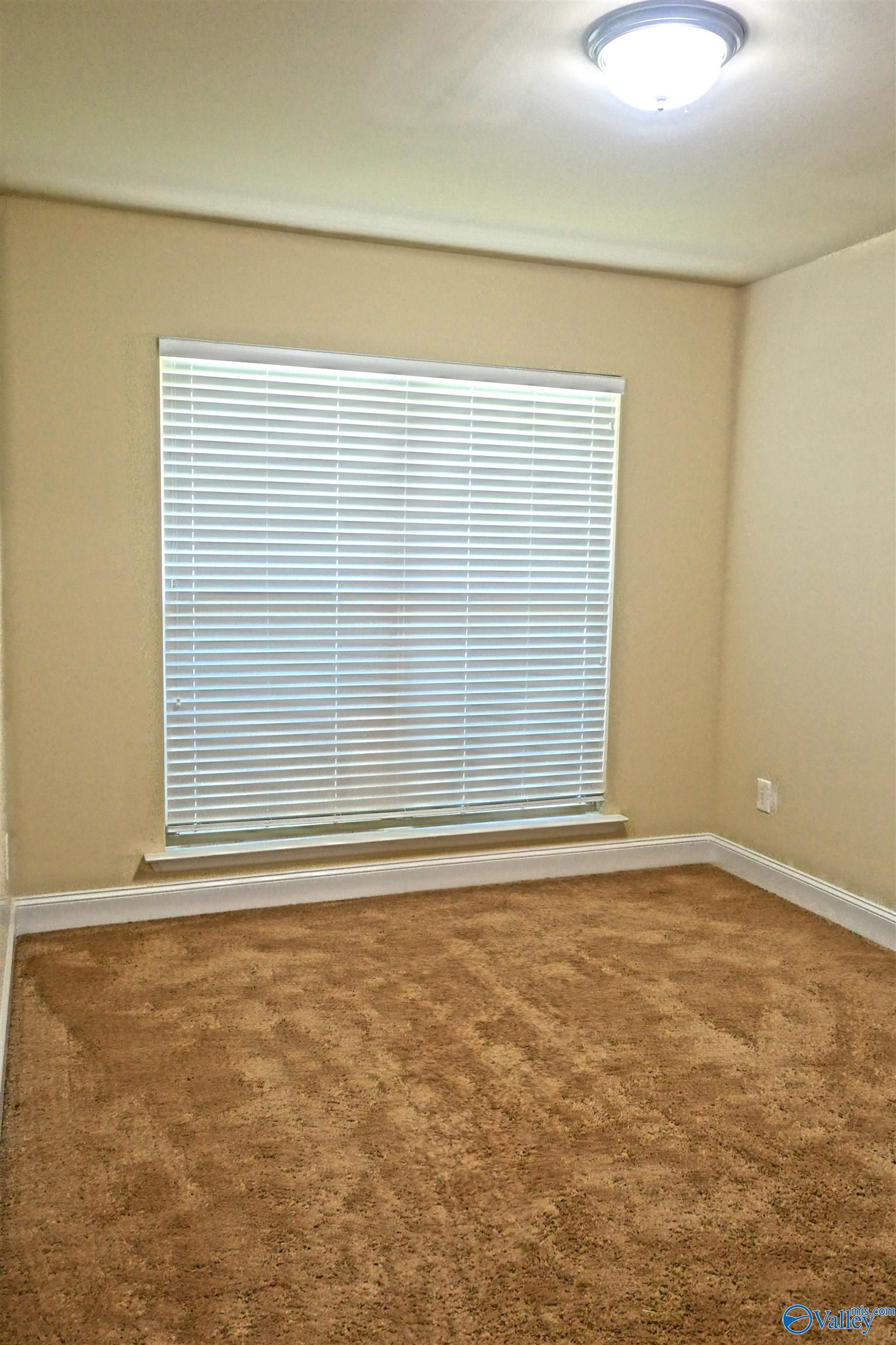 122 Bermuda Lakes Drive, Meridianville, Alabama image 15