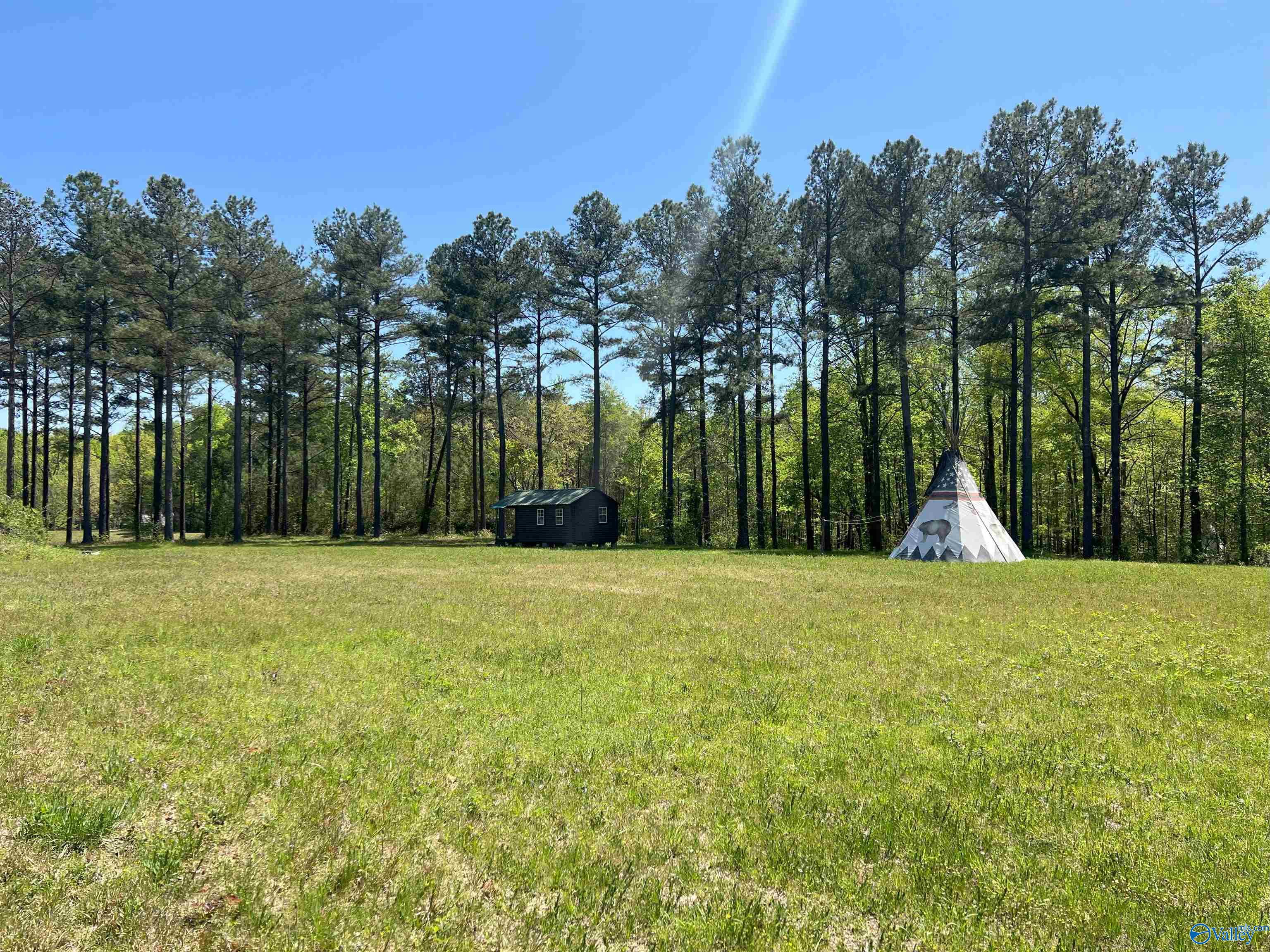 4319 County Road 76, Danville, Alabama image 3