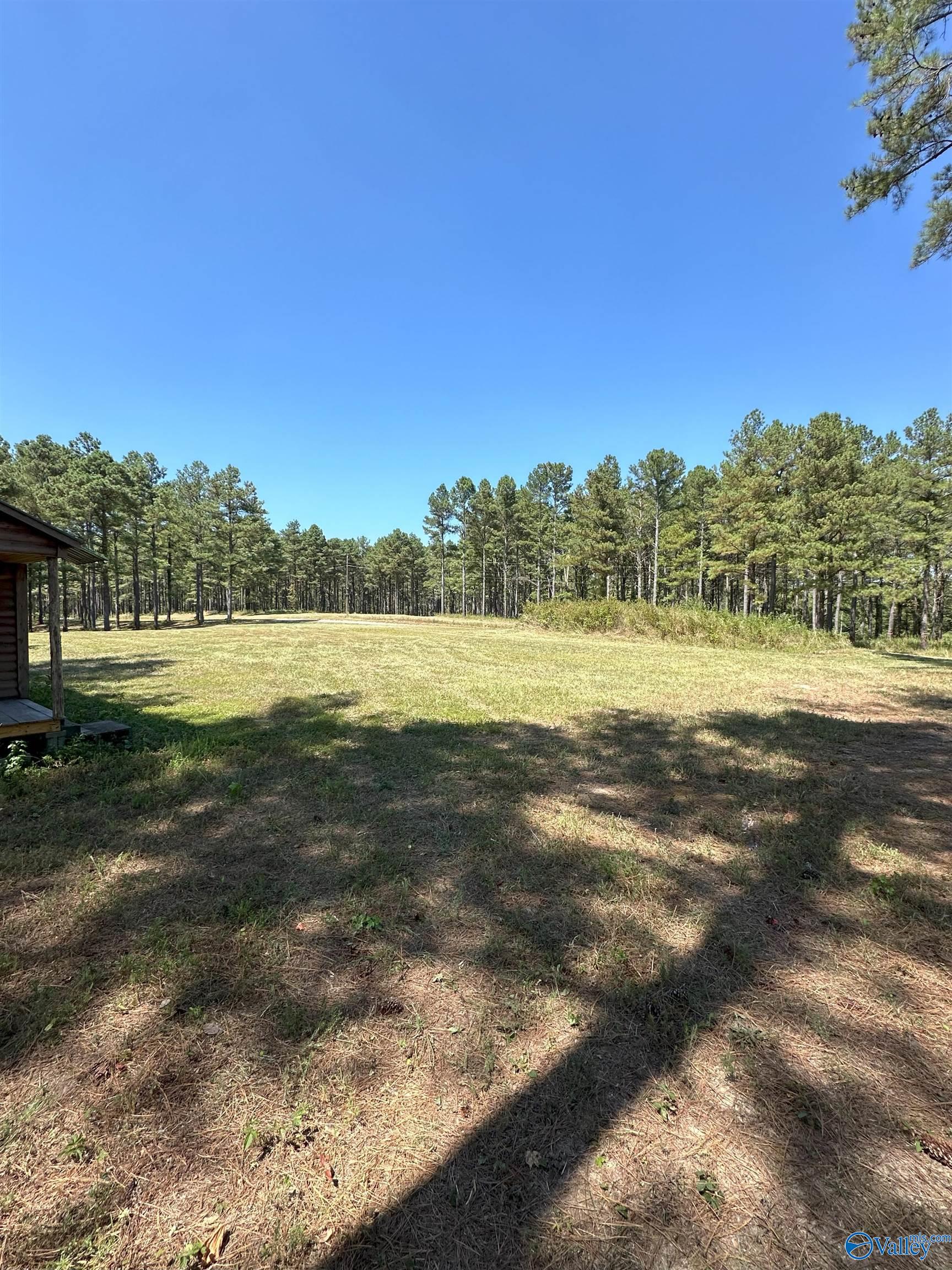 4319 County Road 76, Danville, Alabama image 2