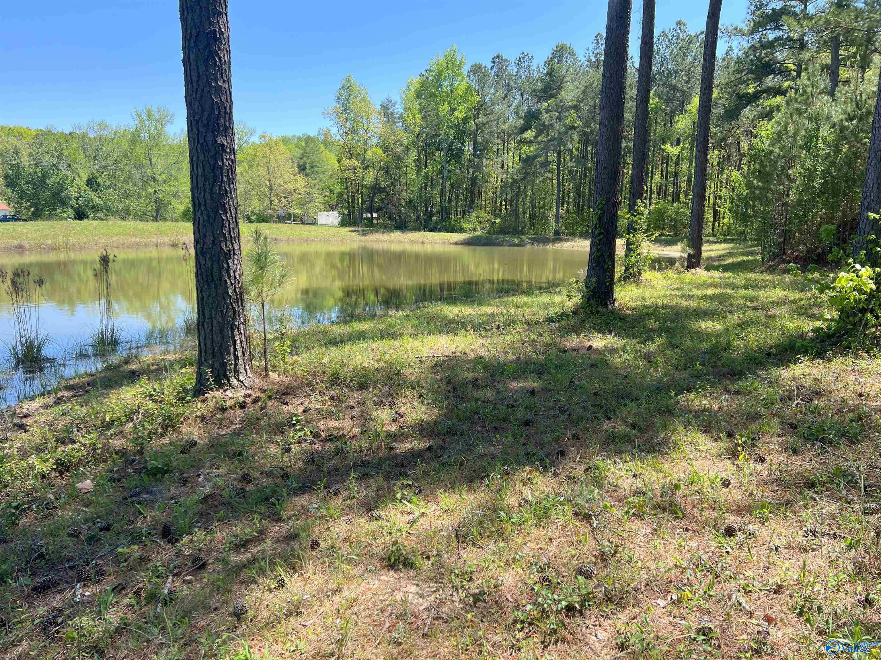 4319 County Road 76, Danville, Alabama image 4