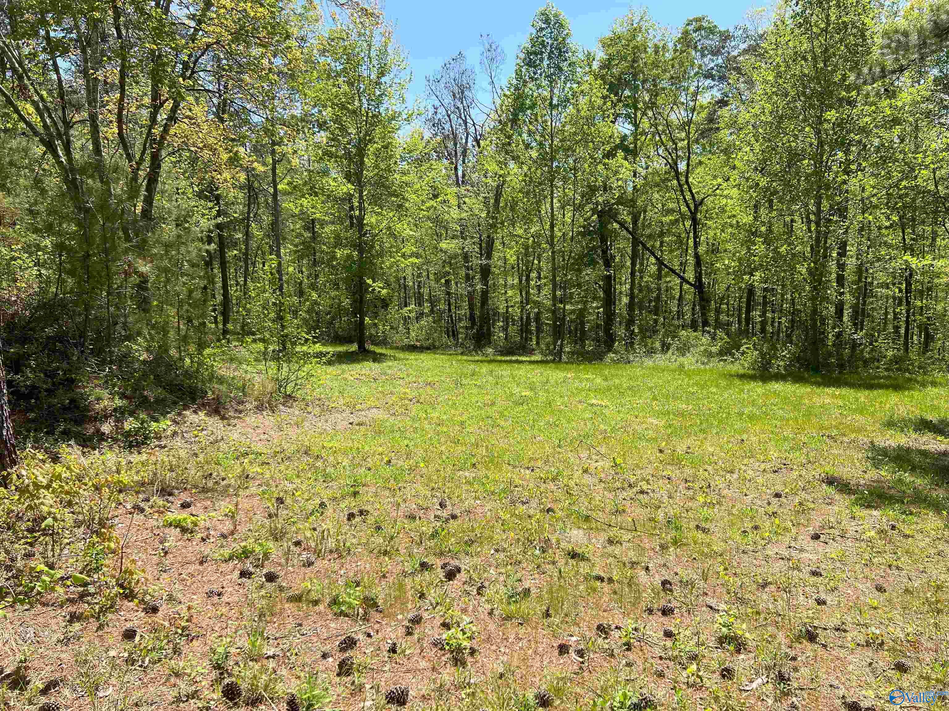 4319 County Road 76, Danville, Alabama image 7