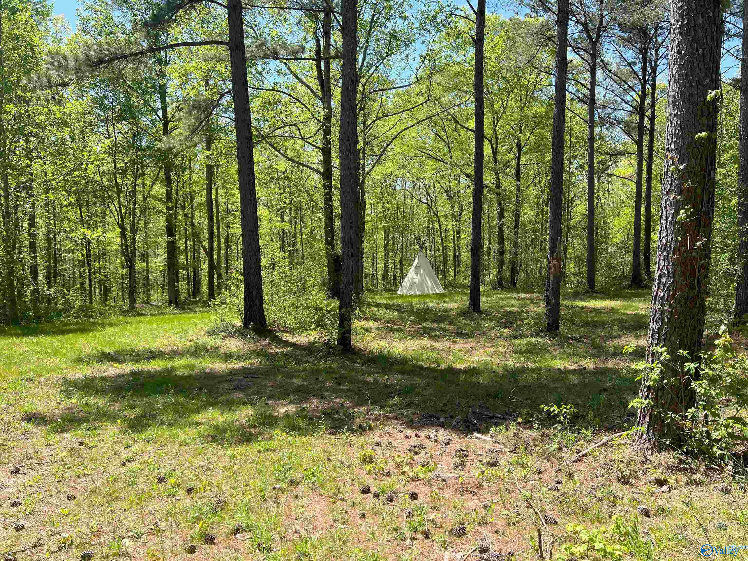 4319 County Road 76, Danville, Alabama image 6