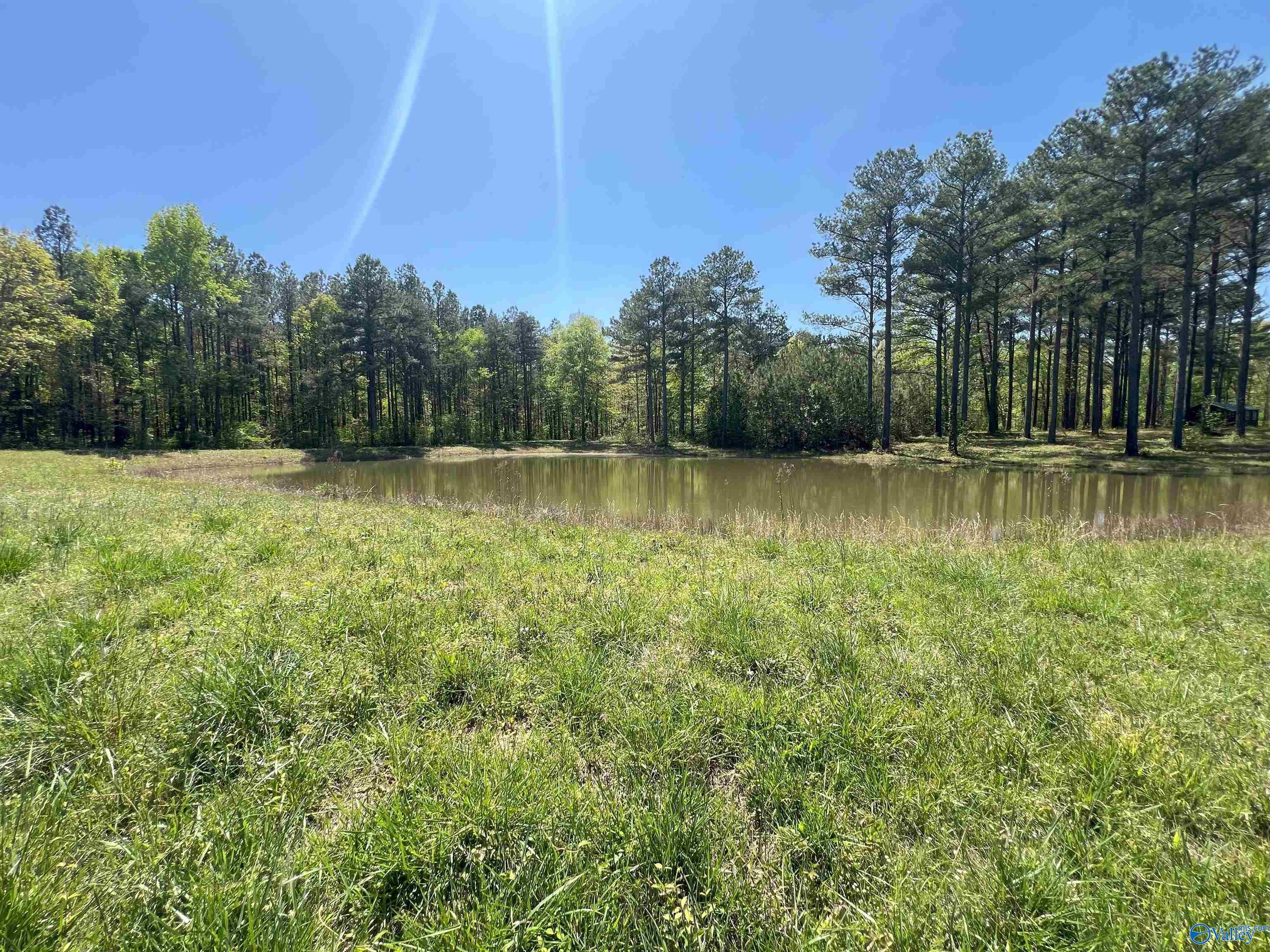 4319 County Road 76, Danville, Alabama image 5