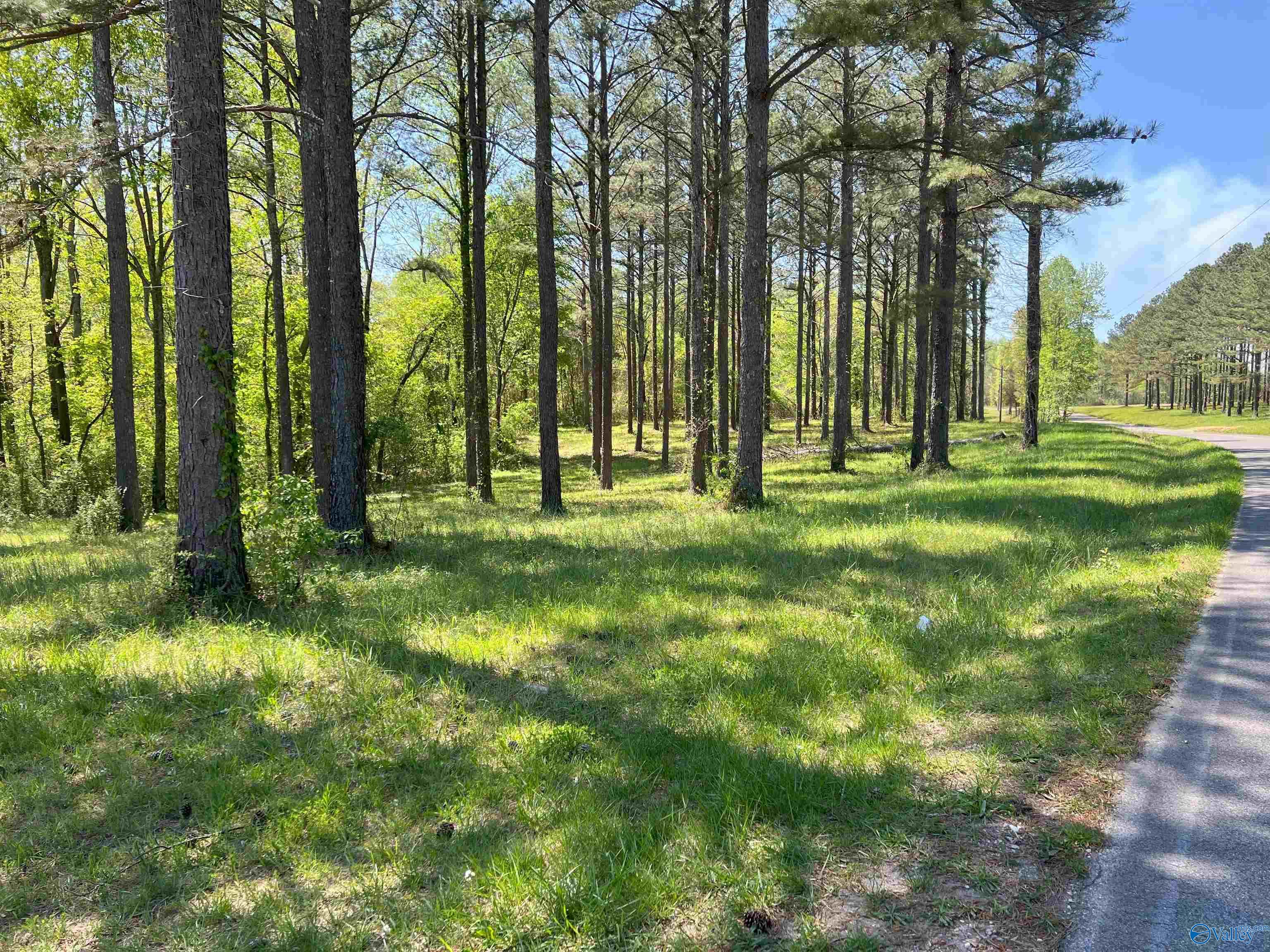 4319 County Road 76, Danville, Alabama image 18