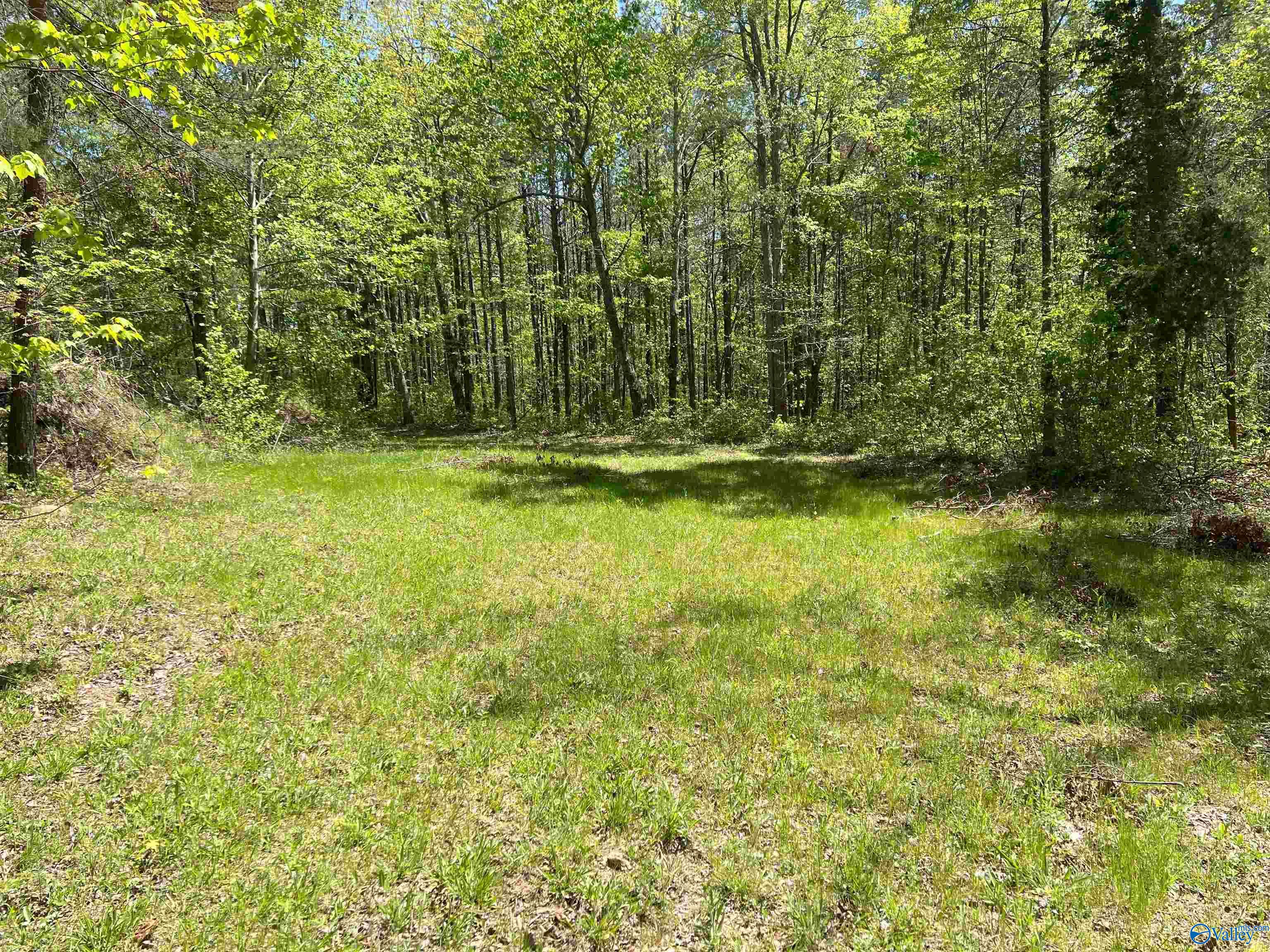 4319 County Road 76, Danville, Alabama image 8