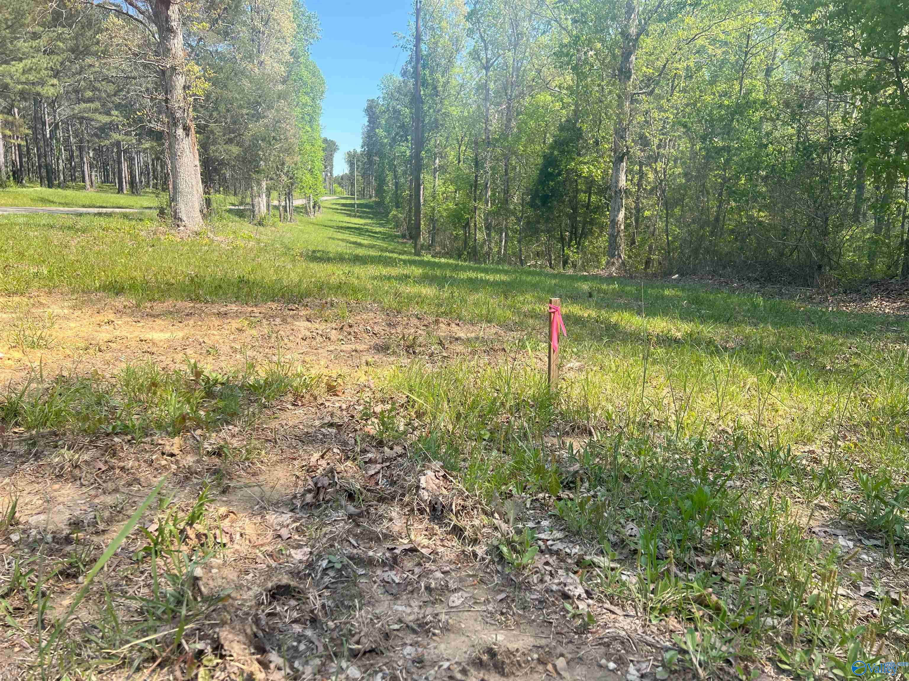 4319 County Road 76, Danville, Alabama image 20