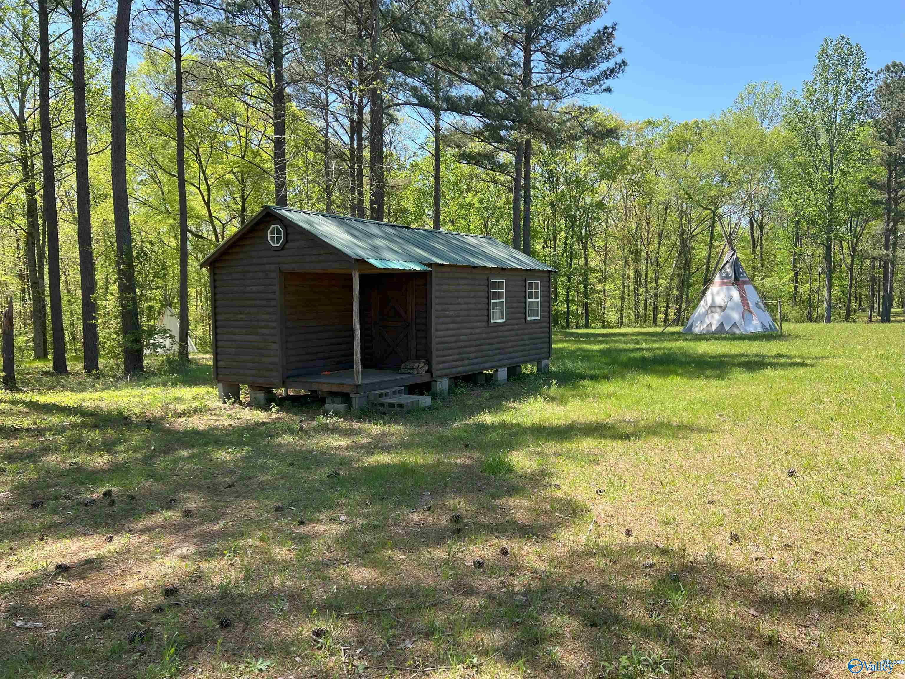 4319 County Road 76, Danville, Alabama image 1
