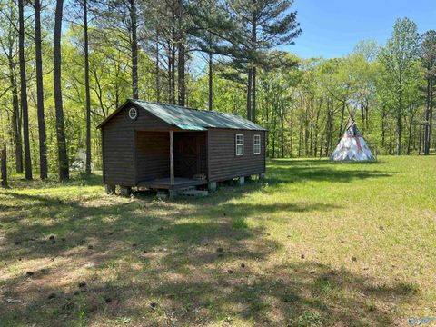 Vacant Land For Sale - 4319 County Road 76<br/> Danville, AL 35619