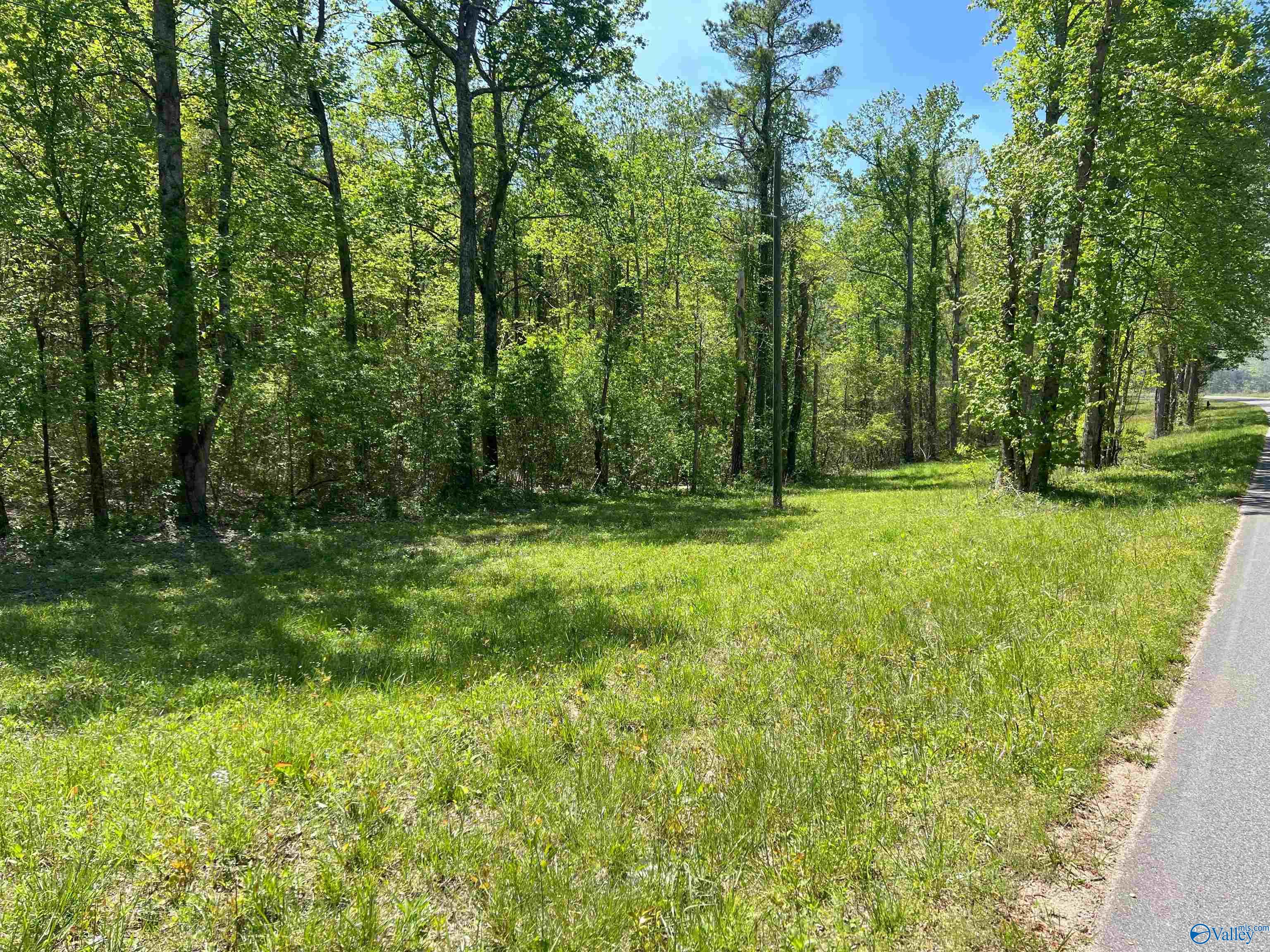 4319 County Road 76, Danville, Alabama image 19