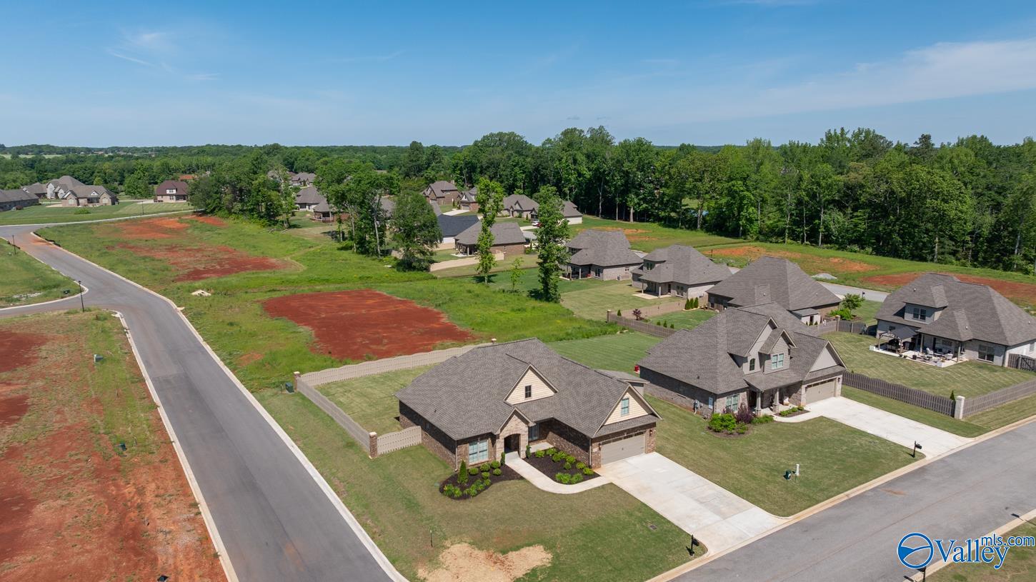 29458 Carnaby Lane, Toney, Alabama image 1