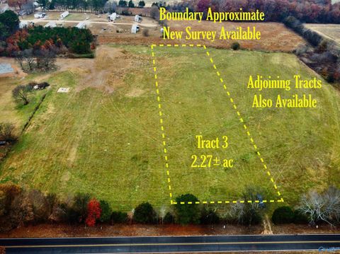 Homes For Sale - TRACT 3 County Road 89<br/> Lauderdale County, Anderson, AL 35610