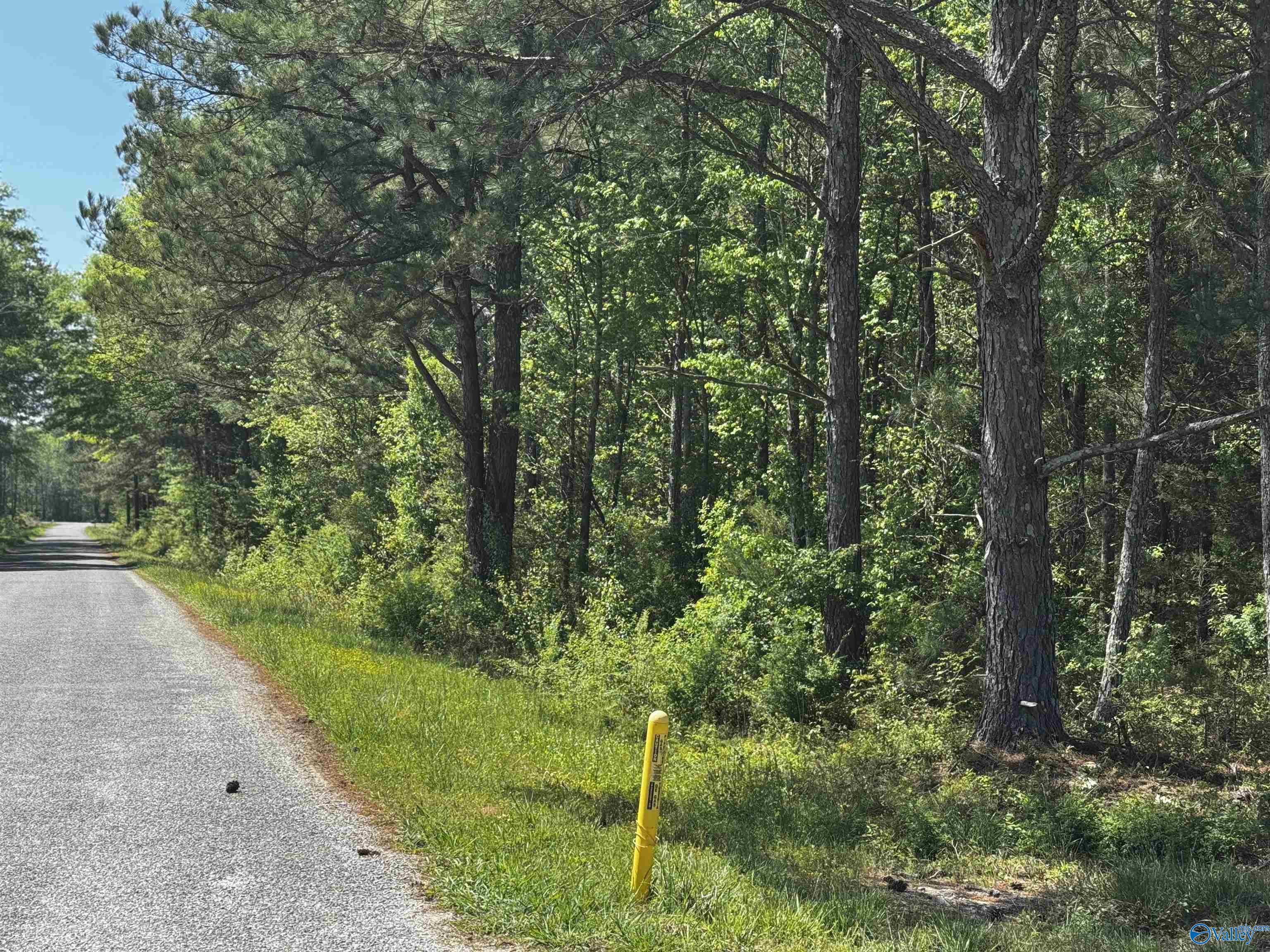 6 AC County Road 462, Centre, Alabama image 3