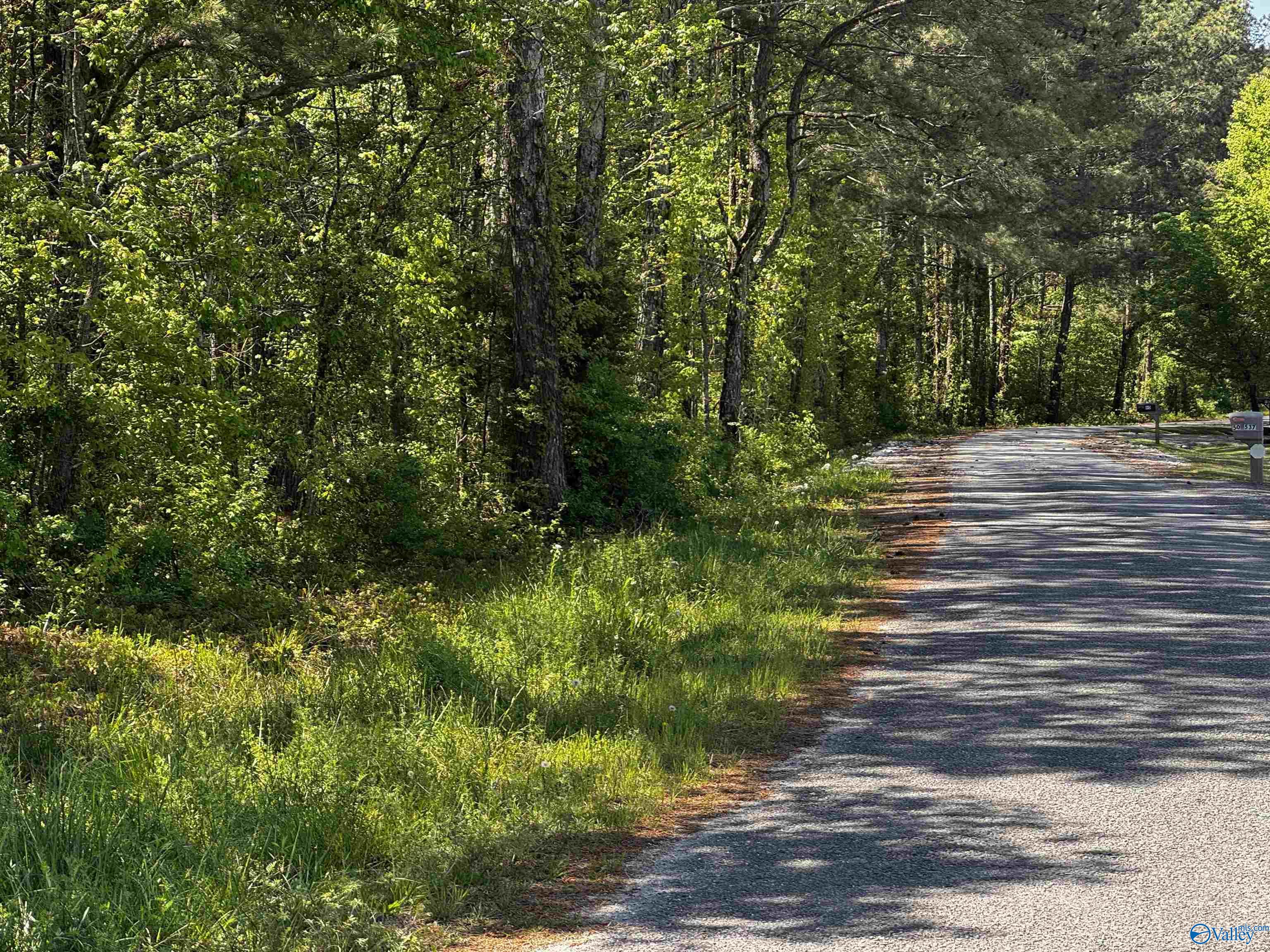 6 AC County Road 462, Centre, Alabama image 4