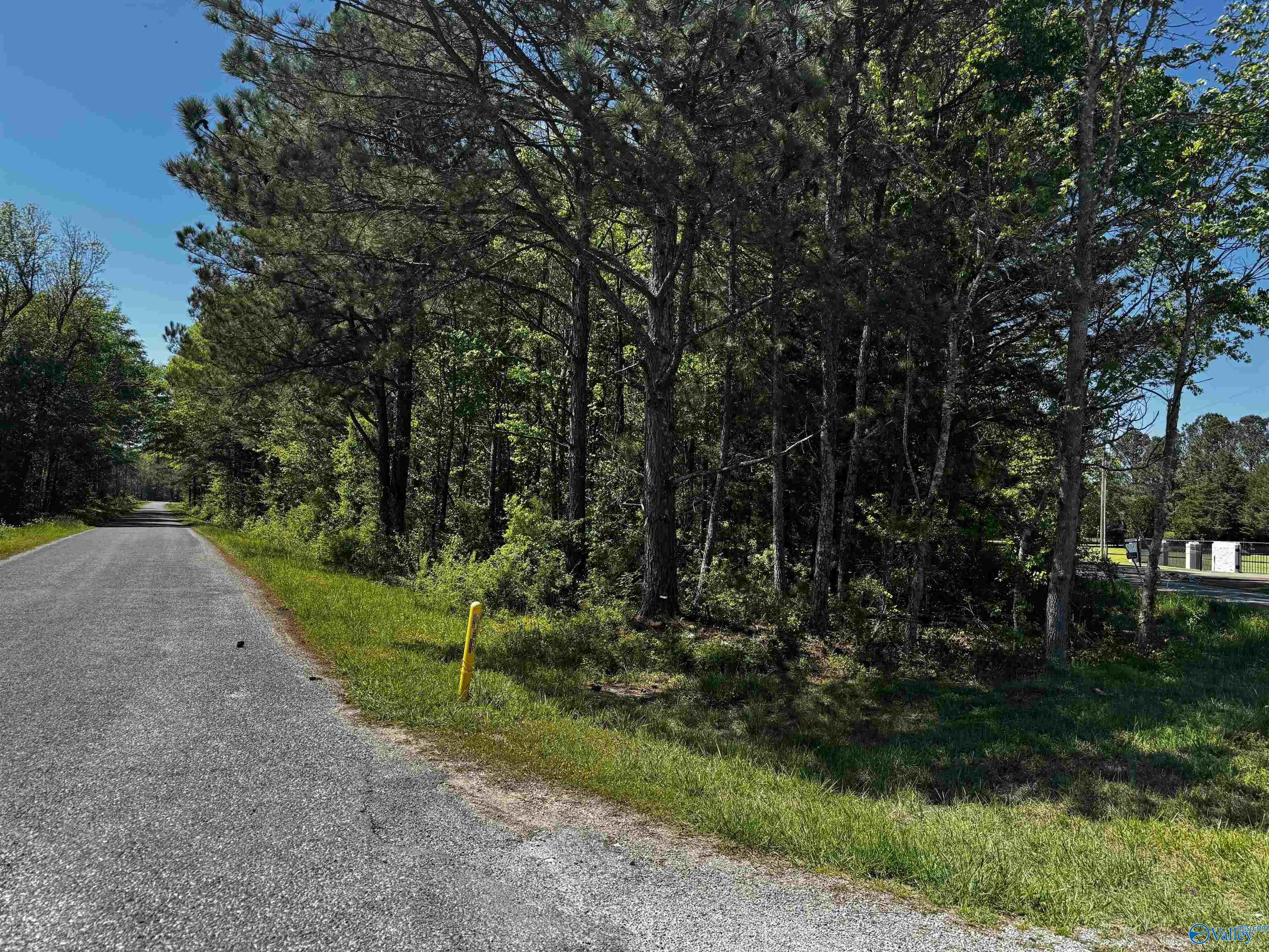 6 AC County Road 462, Centre, Alabama image 2