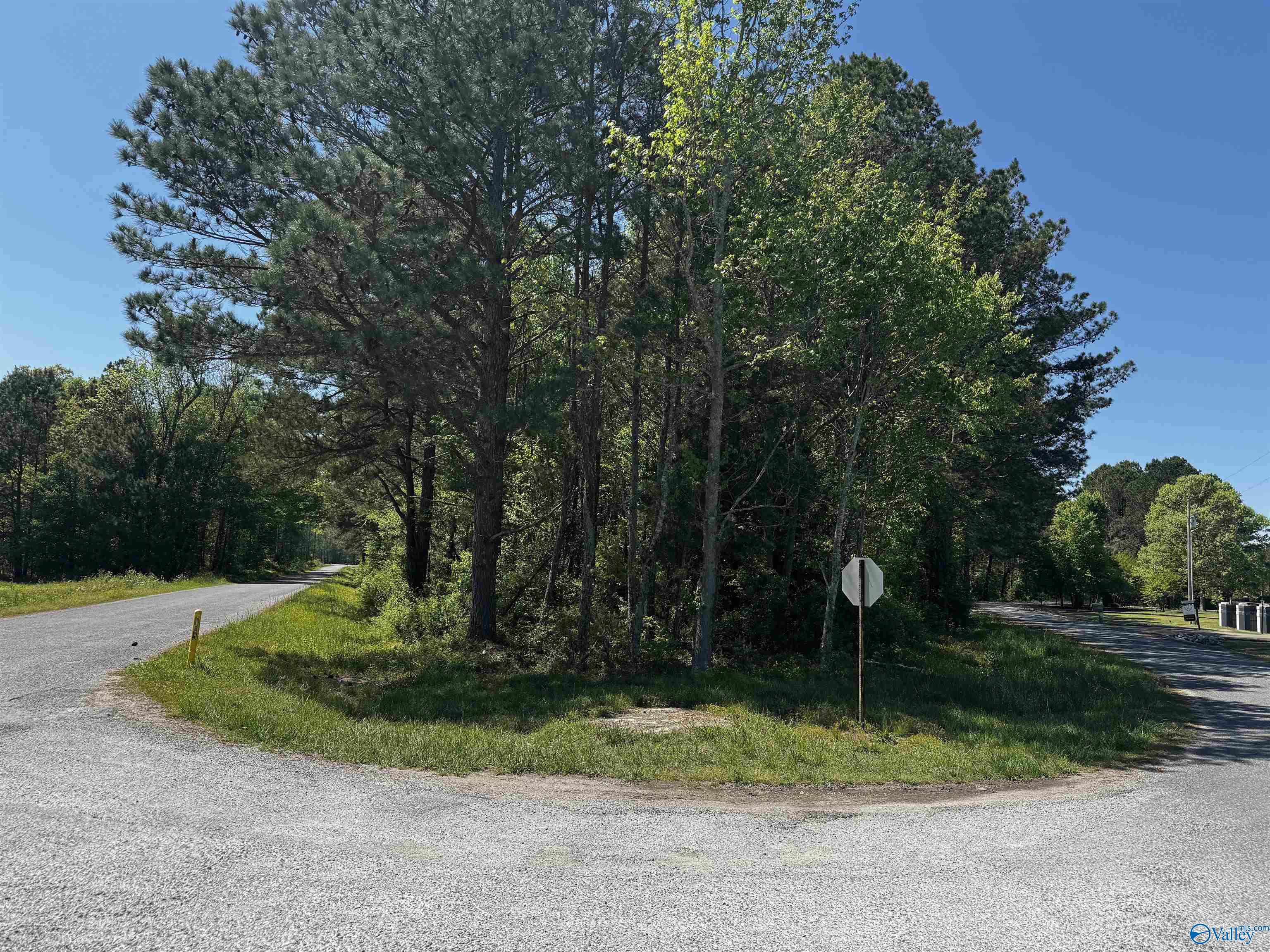 6 AC County Road 462, Centre, Alabama image 1