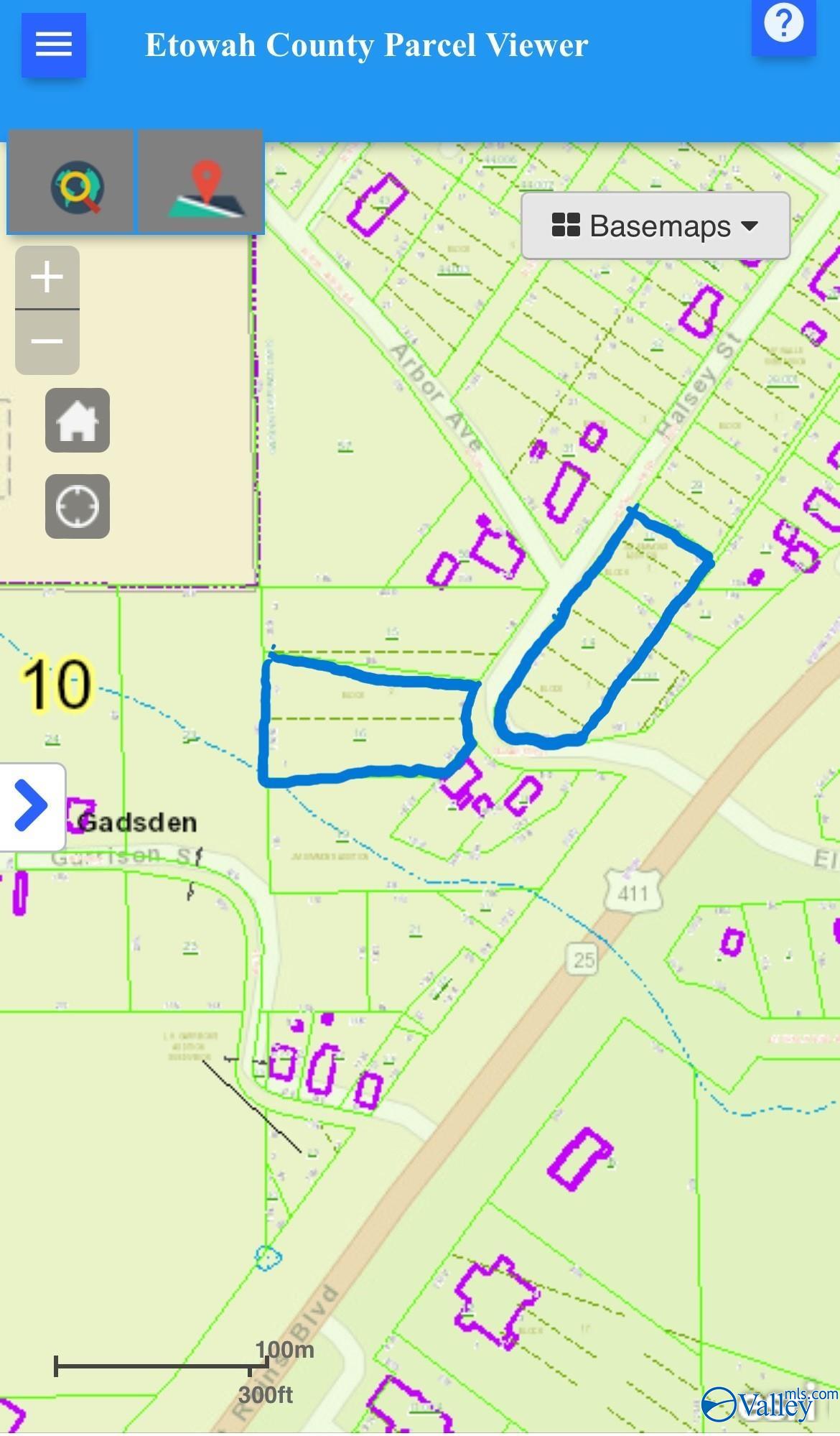 2.5 Acres Halsey Street, Gadsden, Alabama image 3