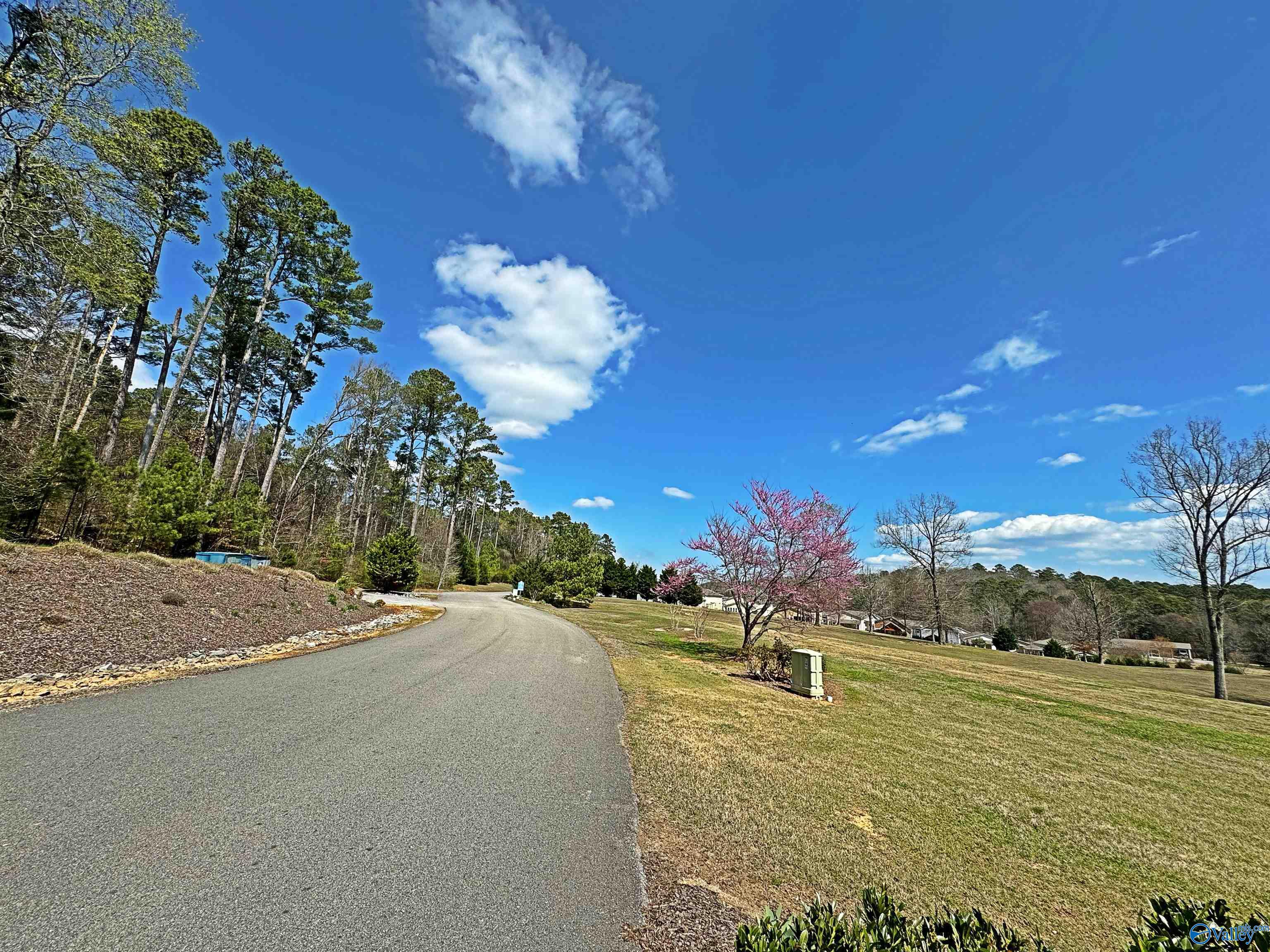 1727 Convict Camp Road #42, Guntersville, Alabama image 38