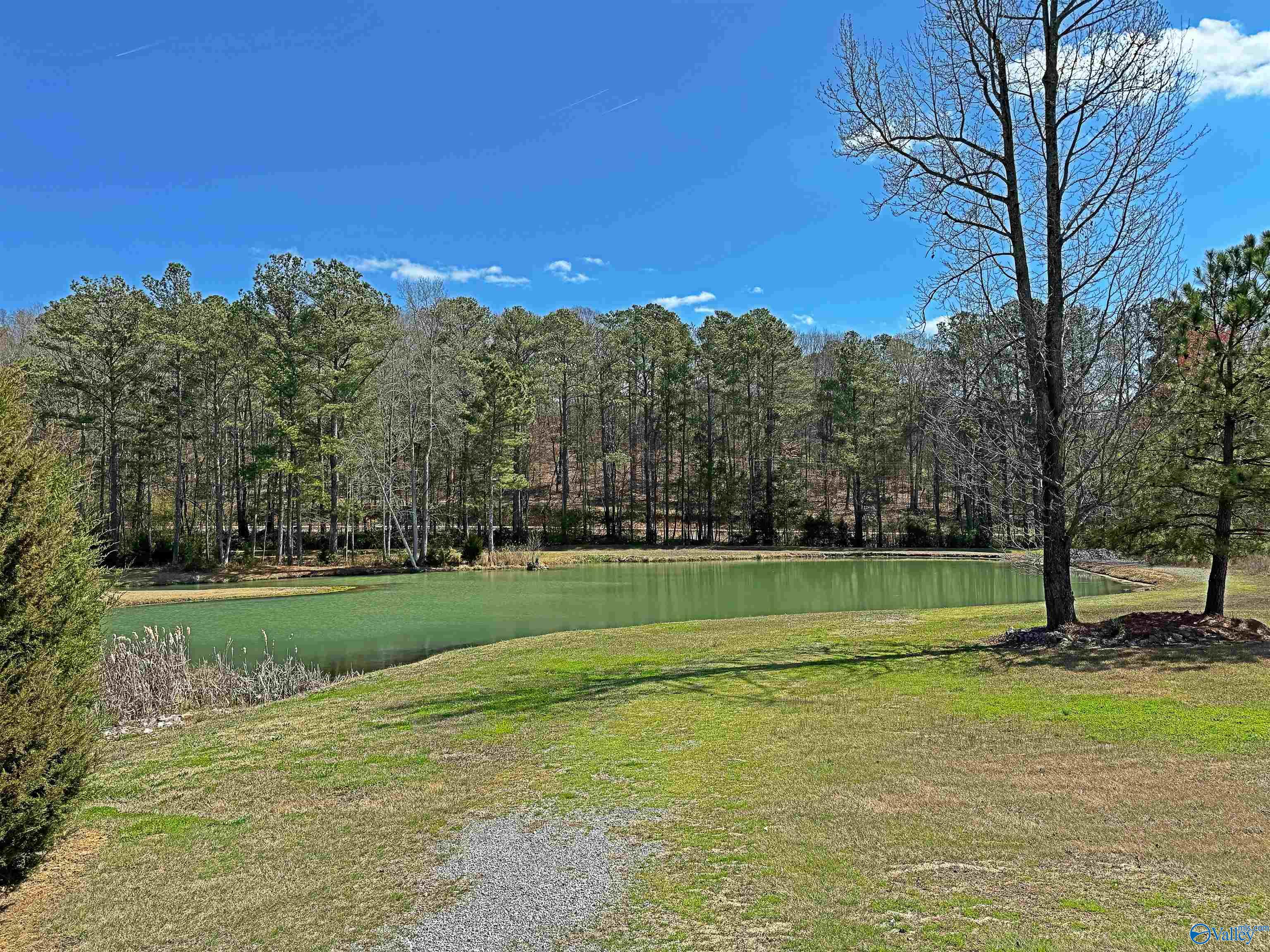 1727 Convict Camp Road #42, Guntersville, Alabama image 35