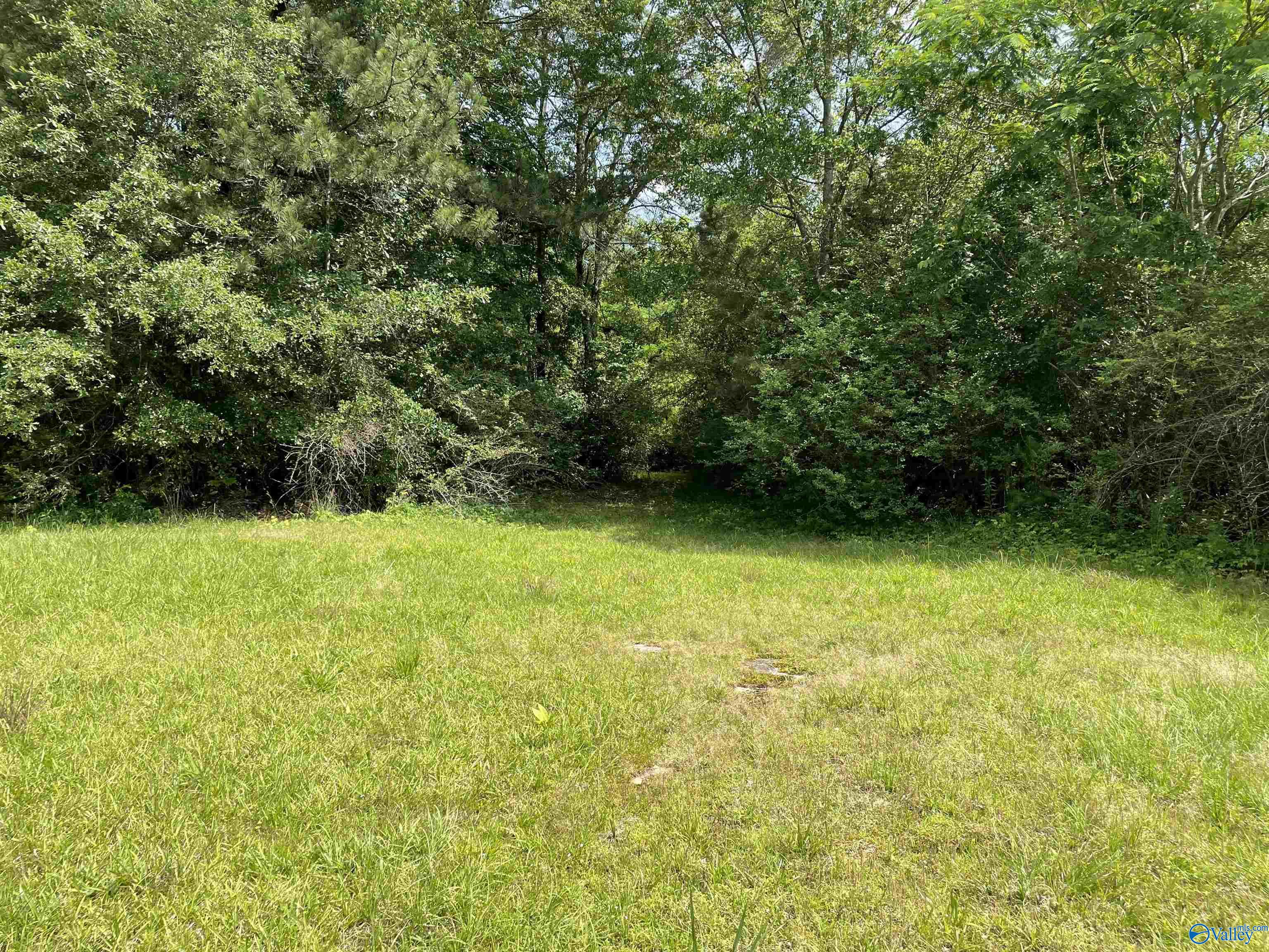 3035 Fairview Road, Gadsden, Alabama image 11