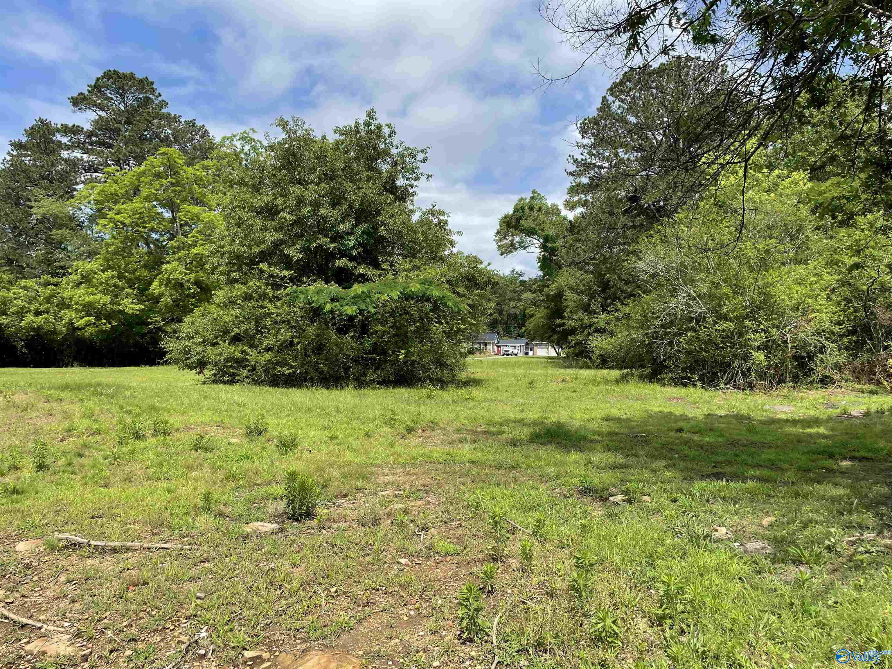 3035 Fairview Road, Gadsden, Alabama image 4