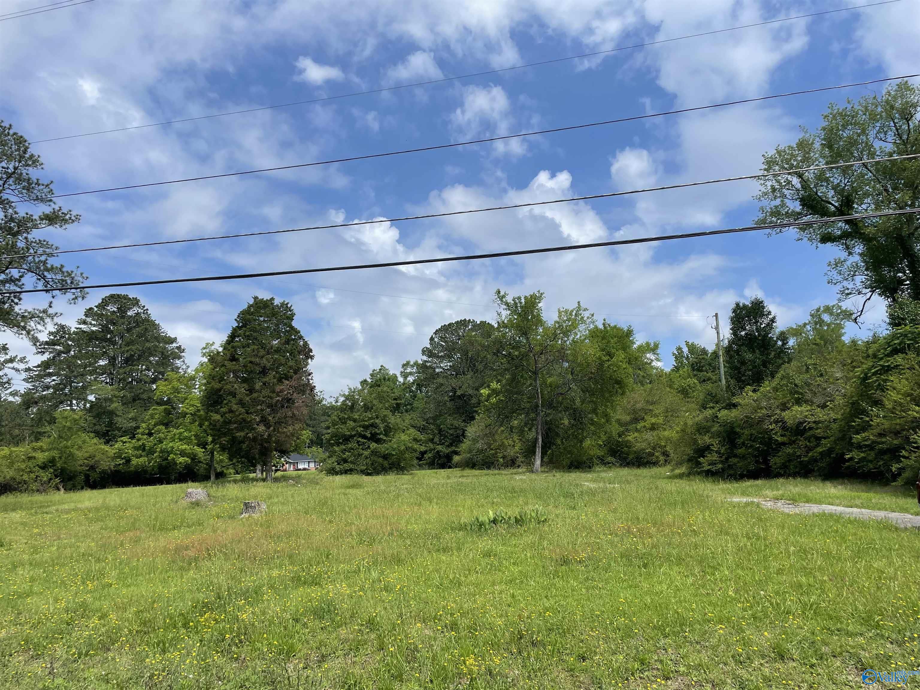 3035 Fairview Road, Gadsden, Alabama image 2