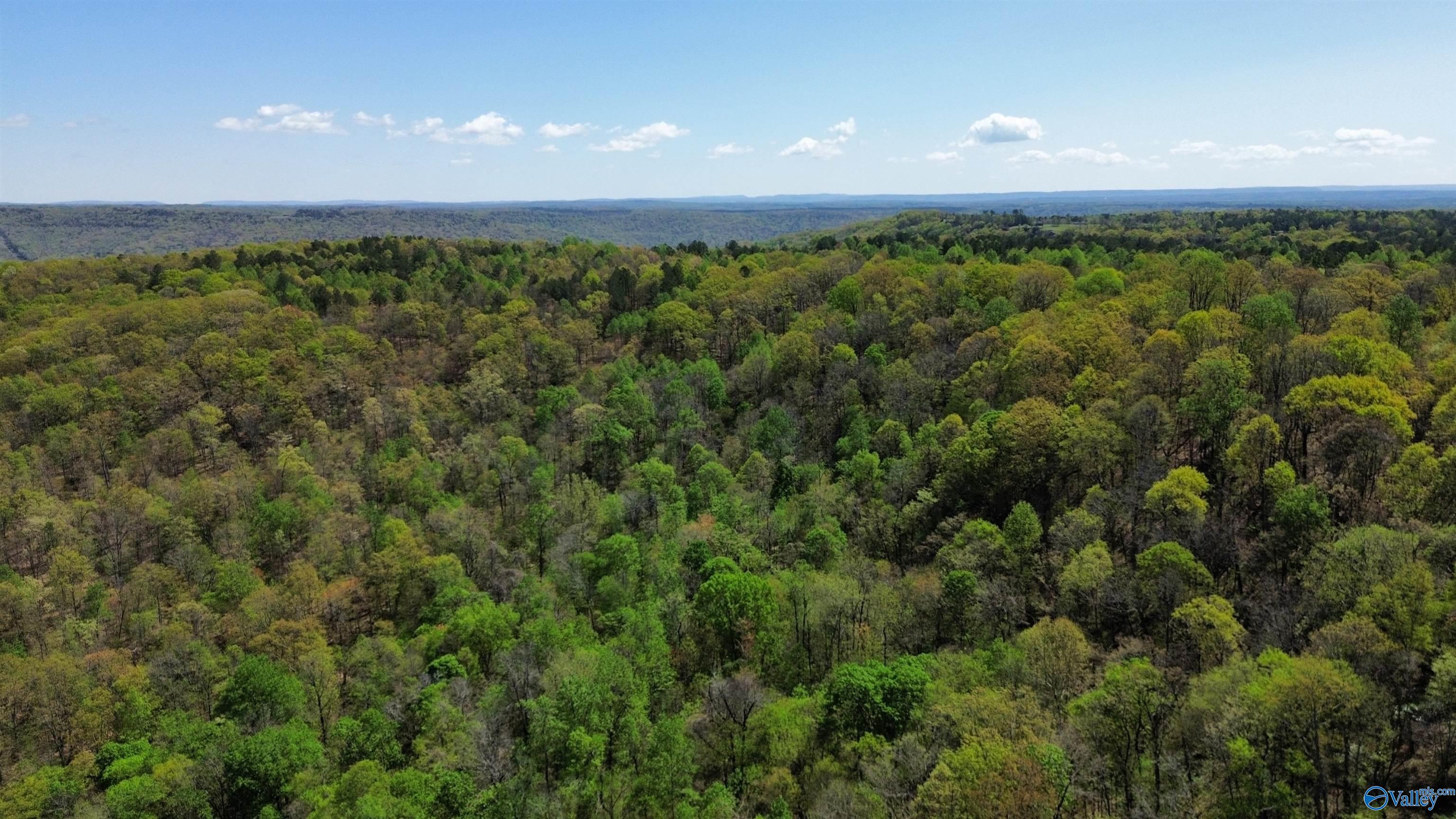 40 County Road 414, Flat Rock, Alabama image 4