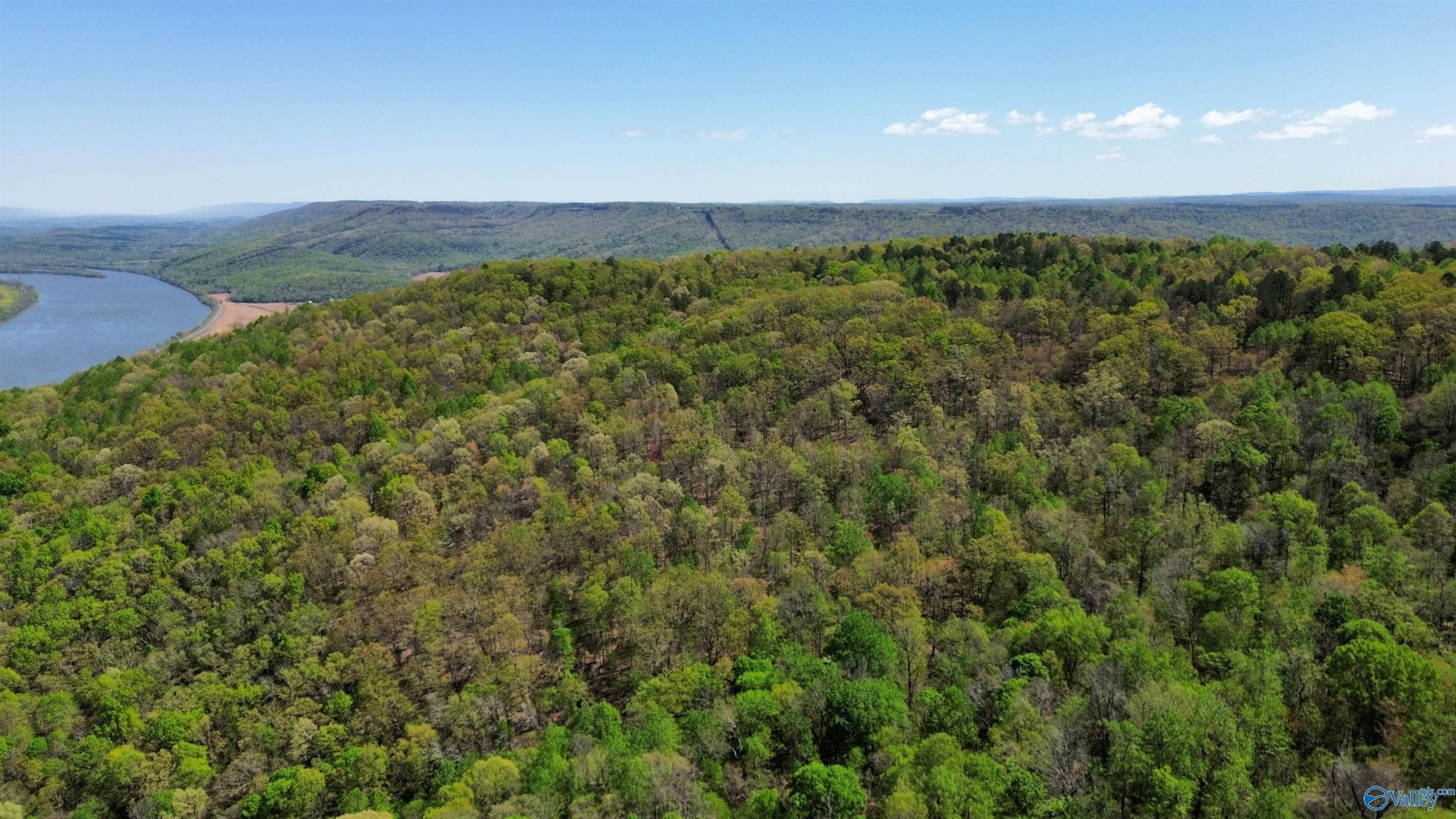 40 County Road 414, Flat Rock, Alabama image 5