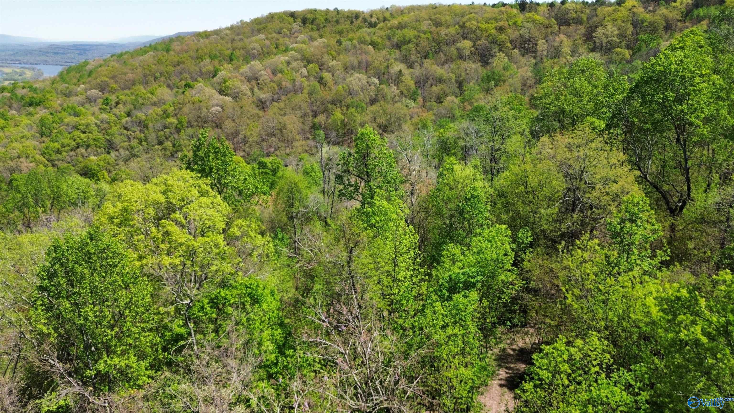 40 County Road 414, Flat Rock, Alabama image 10